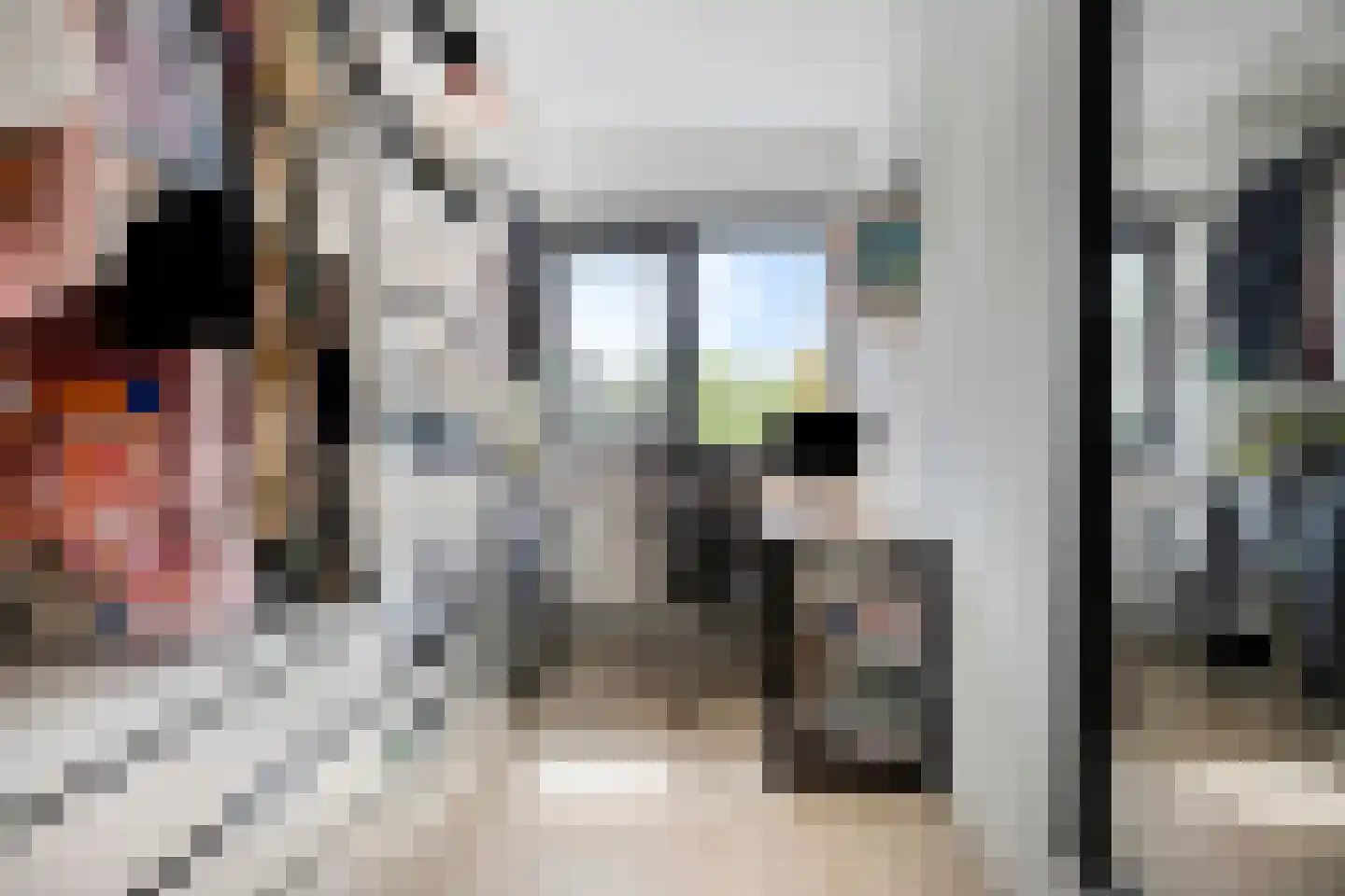 Willemijn Posthumustuin 9 Heerhugowaard thumbnail 42
