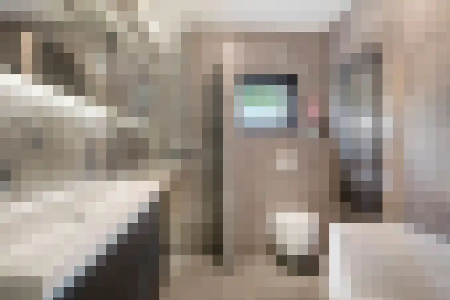 Willemijn Posthumustuin 9 Heerhugowaard thumbnail 5