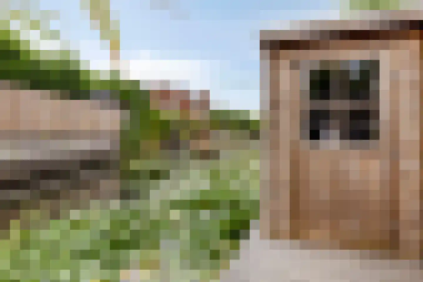 Willemijn Posthumustuin 9 Heerhugowaard thumbnail 56