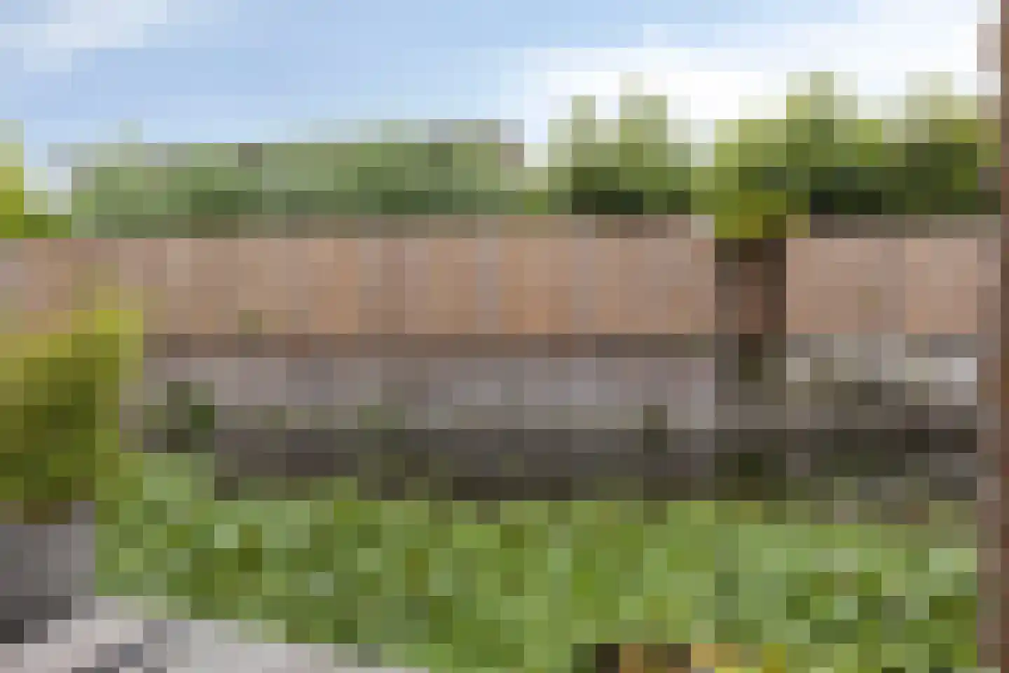 Willemijn Posthumustuin 9 Heerhugowaard thumbnail 58