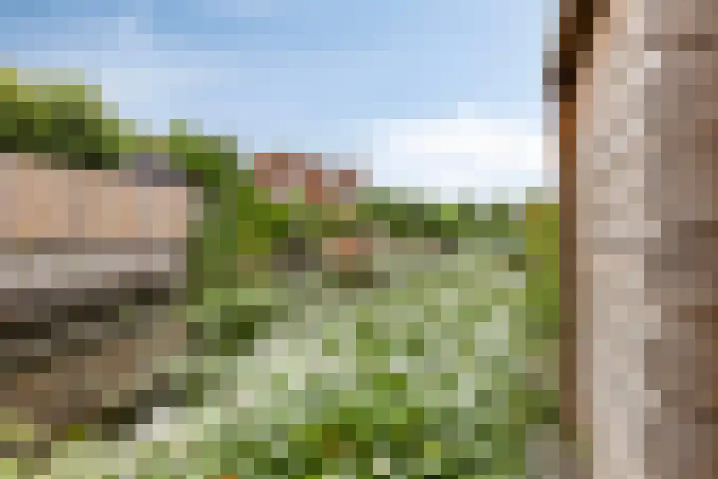 Willemijn Posthumustuin 9 Heerhugowaard thumbnail 59