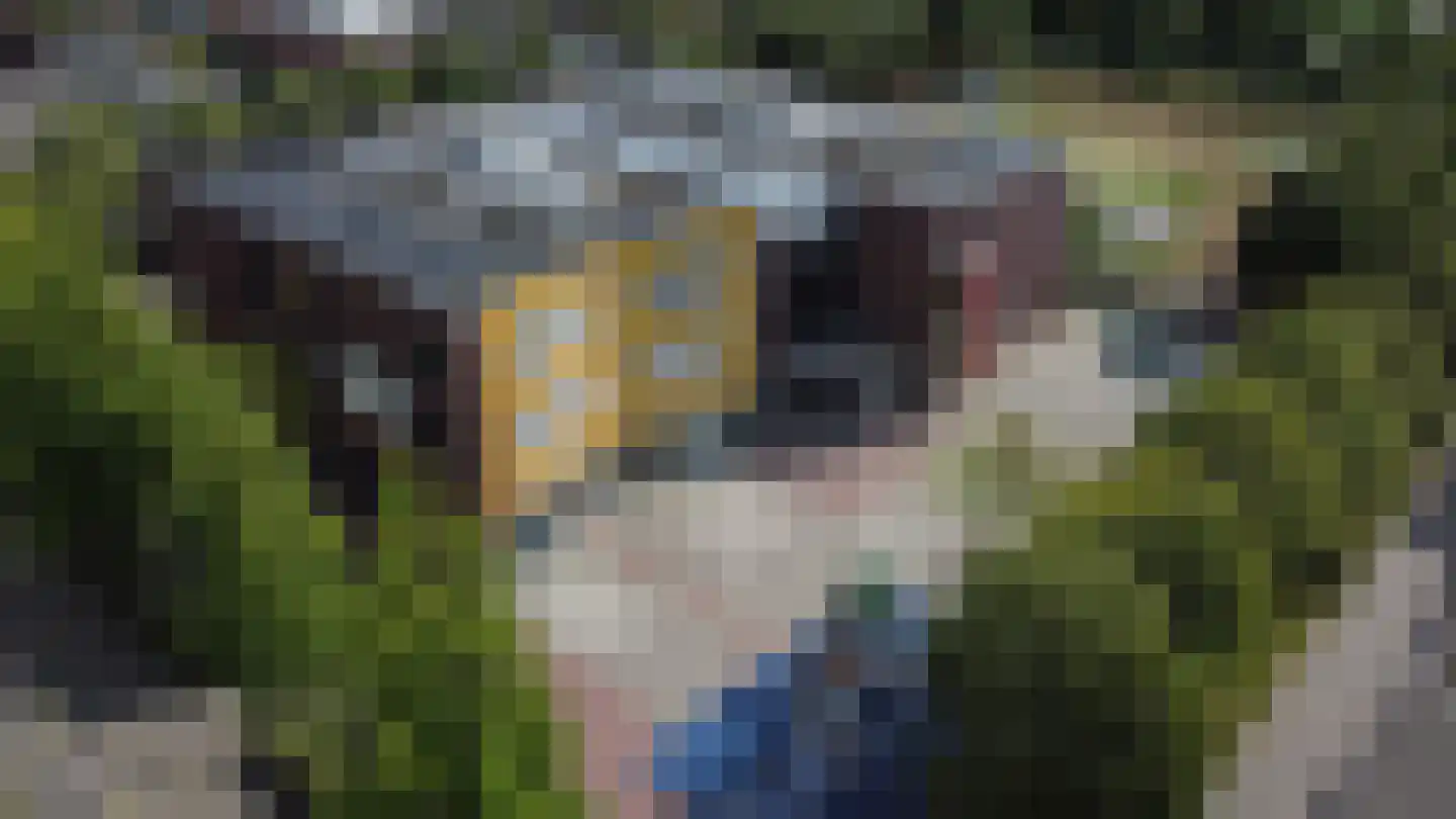 Willemijn Posthumustuin 9 Heerhugowaard thumbnail 65