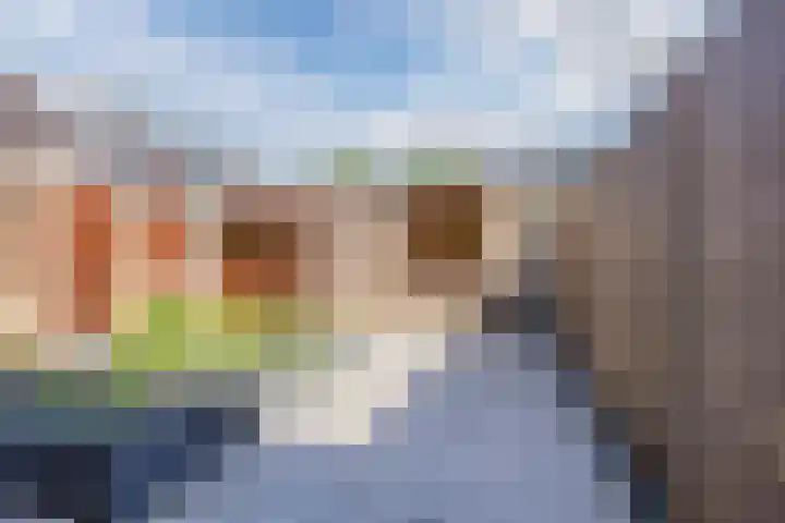 Willems Fopsstraat 1 Hellevoetsluis thumbnail 21