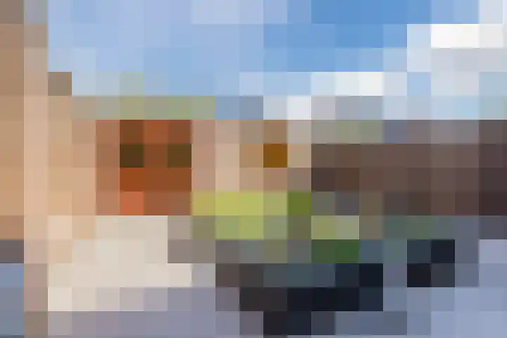 Willems Fopsstraat 1 Hellevoetsluis thumbnail 22