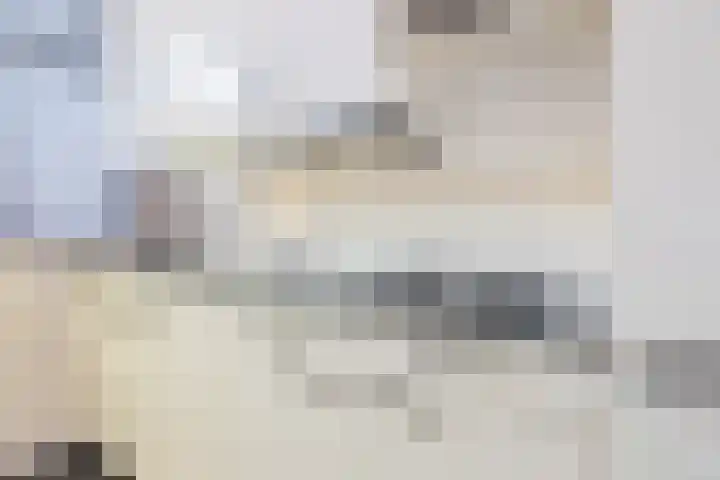 Willems Fopsstraat 1 Hellevoetsluis thumbnail 5