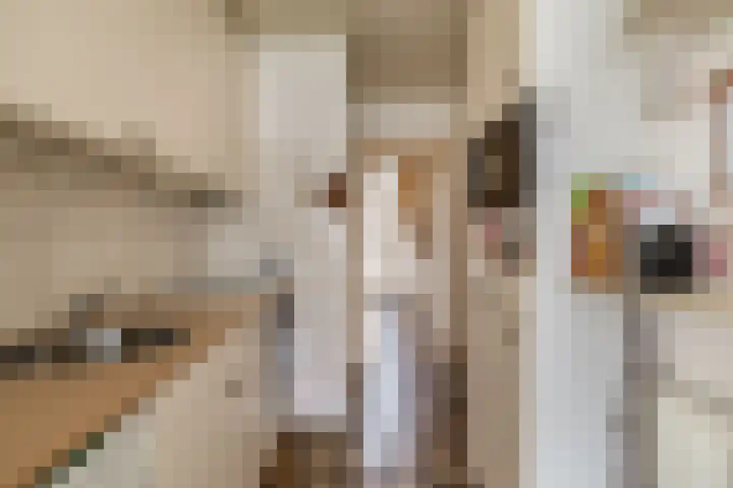 Willems Fopsstraat 12 Hellevoetsluis thumbnail 18