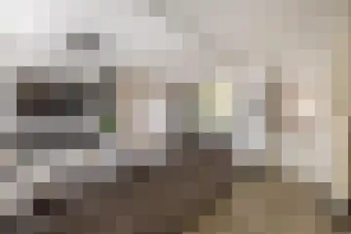 Willems Fopsstraat 2 Hellevoetsluis thumbnail 14
