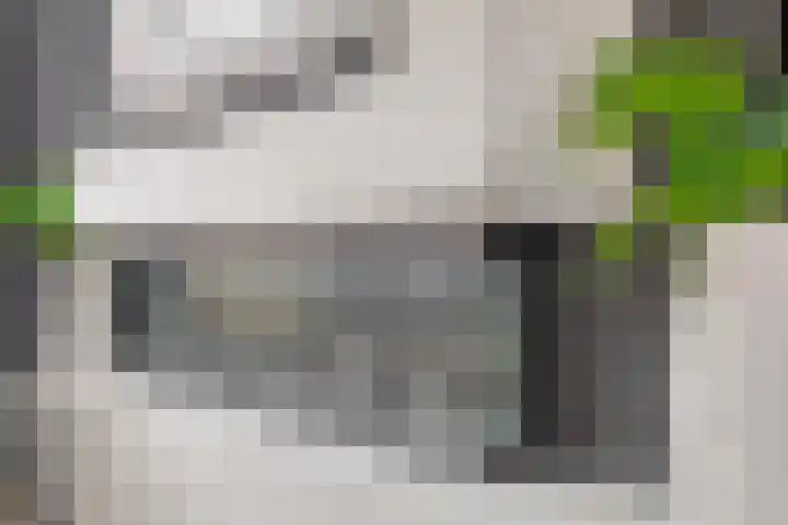Willems Fopsstraat 2 Hellevoetsluis thumbnail 18