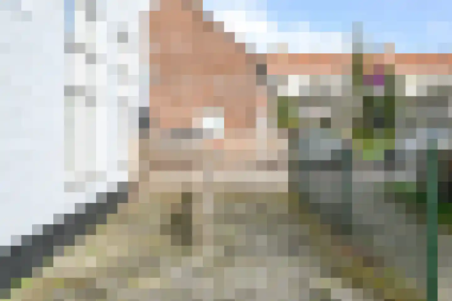 Willemsbeekweg 78 C IJmuiden thumbnail 16
