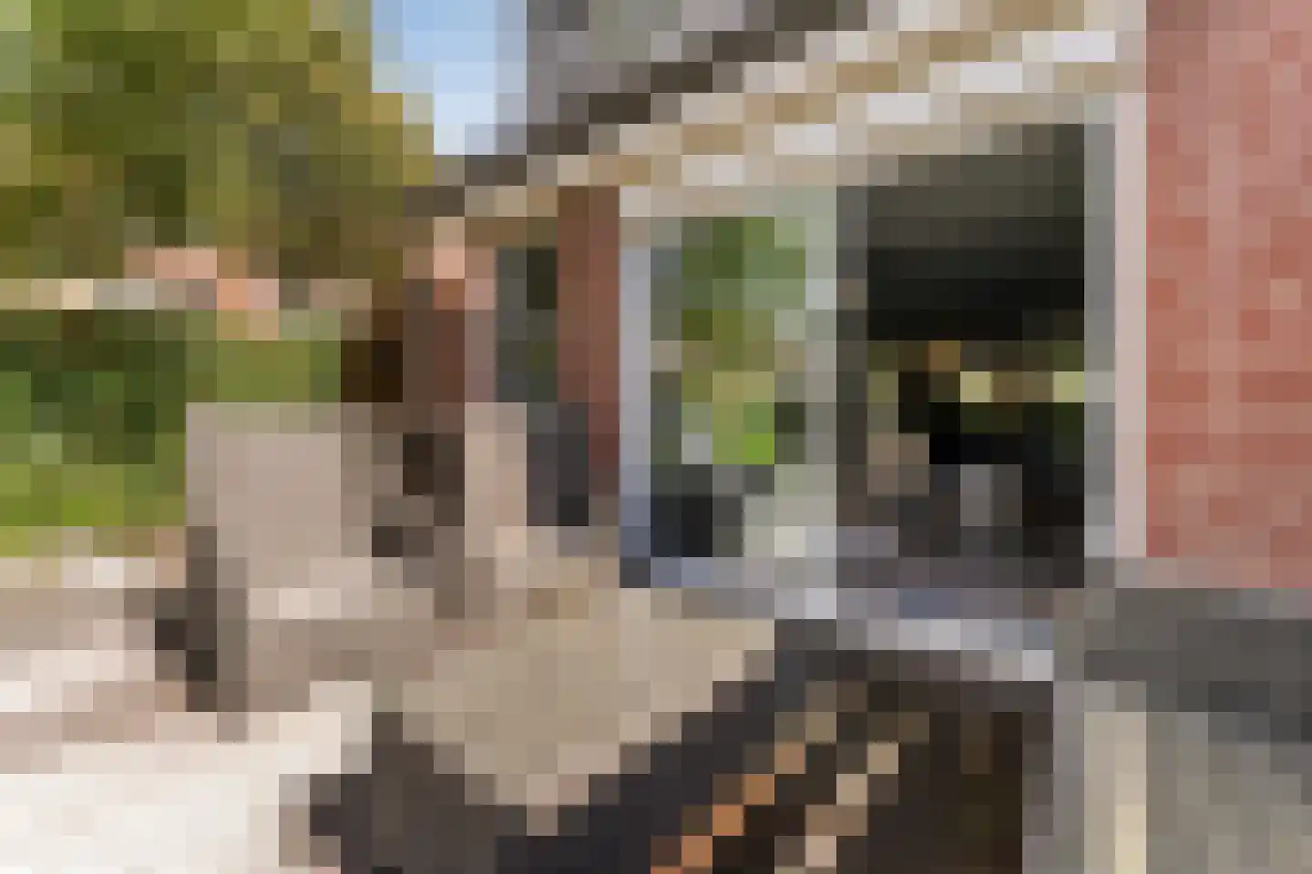 Willemsbos 101 Hoofddorp thumbnail 11