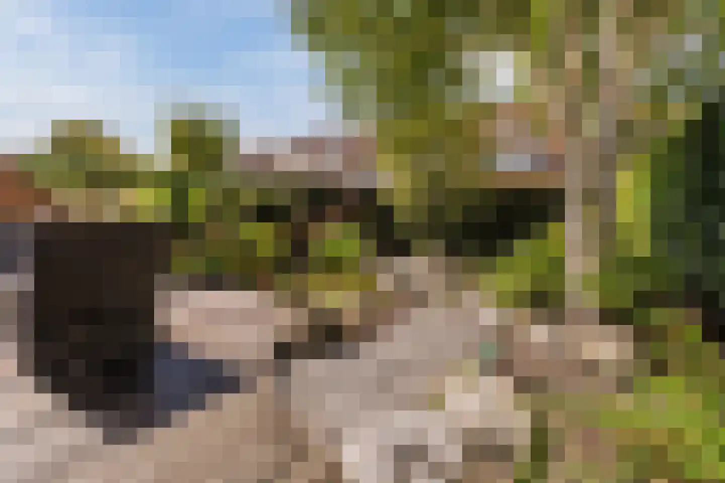 Willemsbos 101 Hoofddorp thumbnail 12