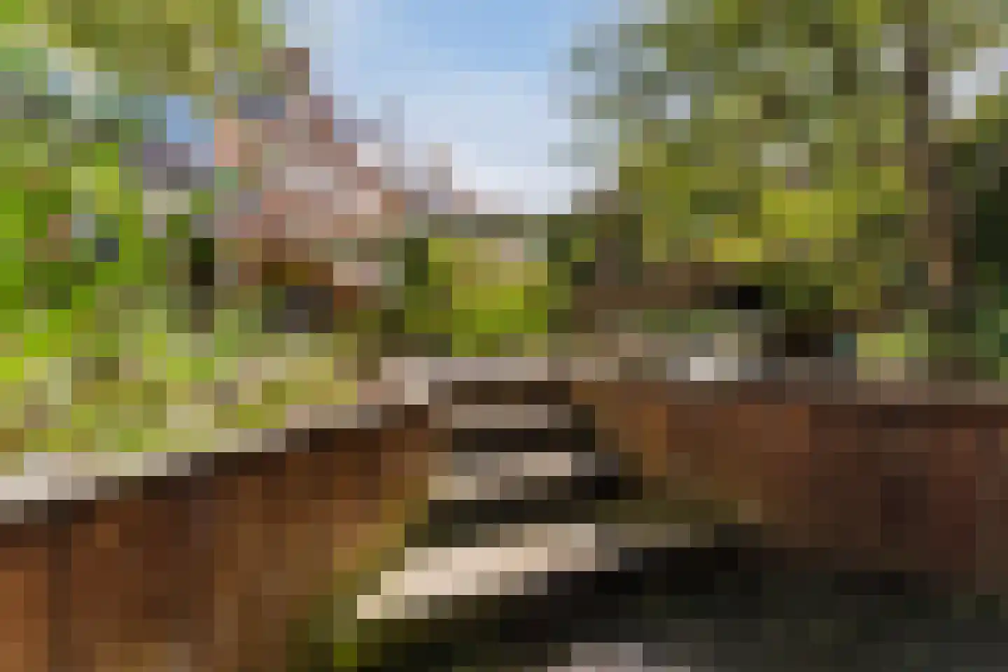 Willemsbos 101 Hoofddorp thumbnail 13