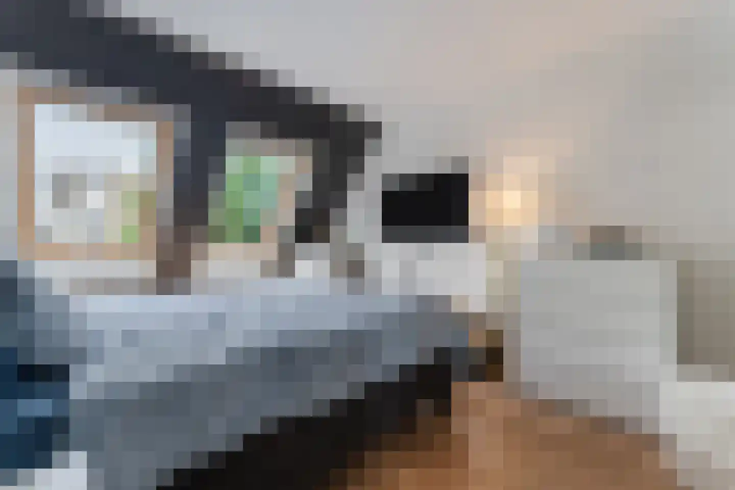 Willemsbos 101 Hoofddorp thumbnail 18