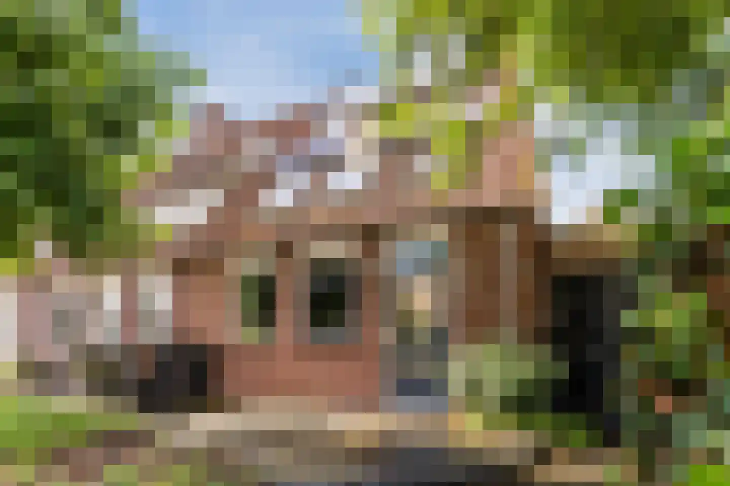 Willemsbos 101 Hoofddorp thumbnail 31