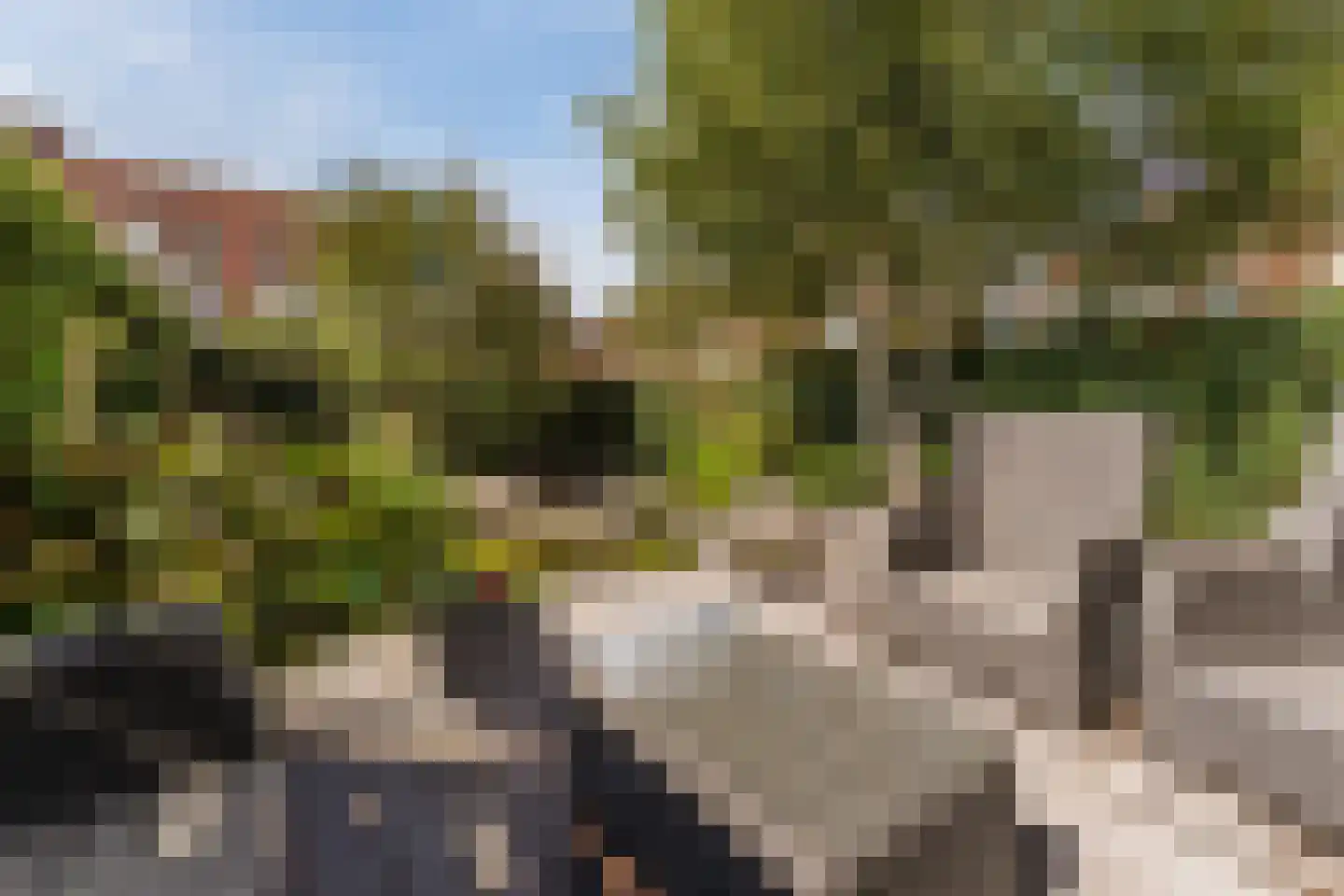Willemsbos 101 Hoofddorp thumbnail 4