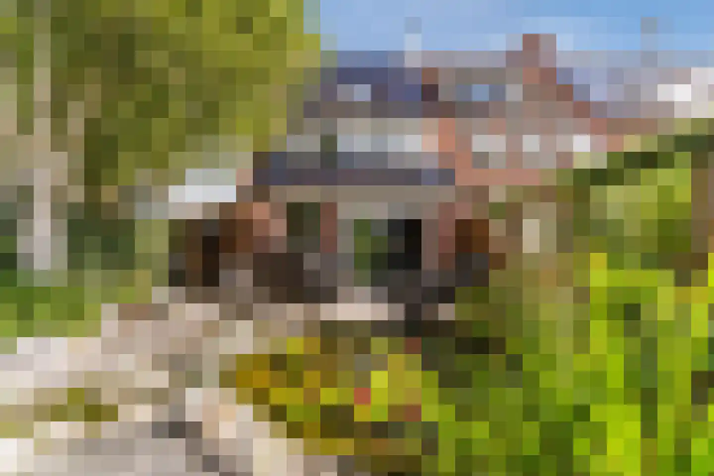 Willemsbos 101 Hoofddorp thumbnail 5