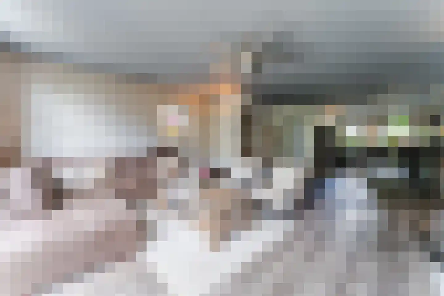 Willemsbos 101 Hoofddorp thumbnail 7