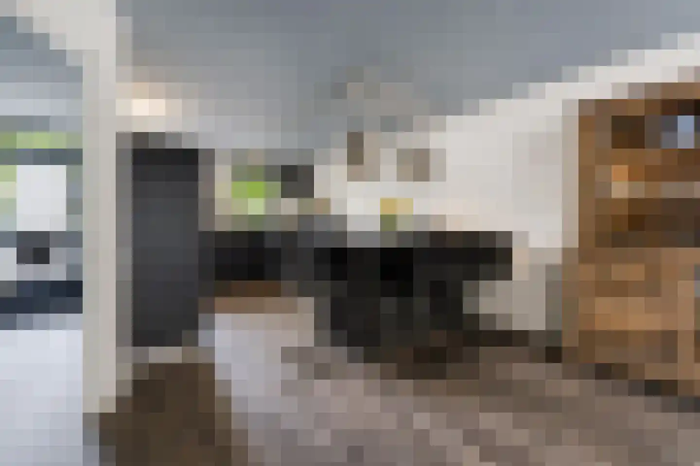 Willemsbos 101 Hoofddorp thumbnail 8
