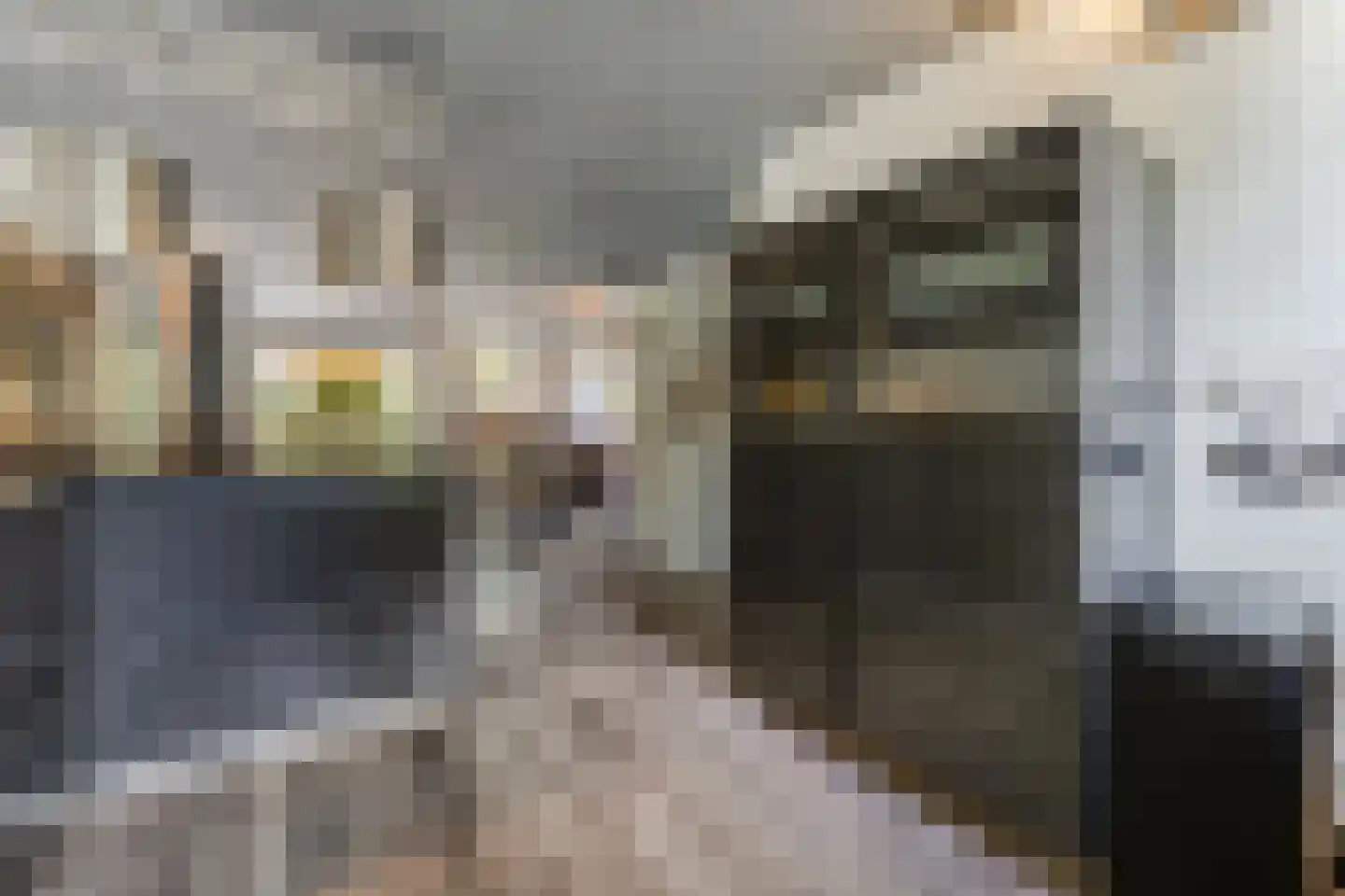 Willemsbos 101 Hoofddorp thumbnail 9