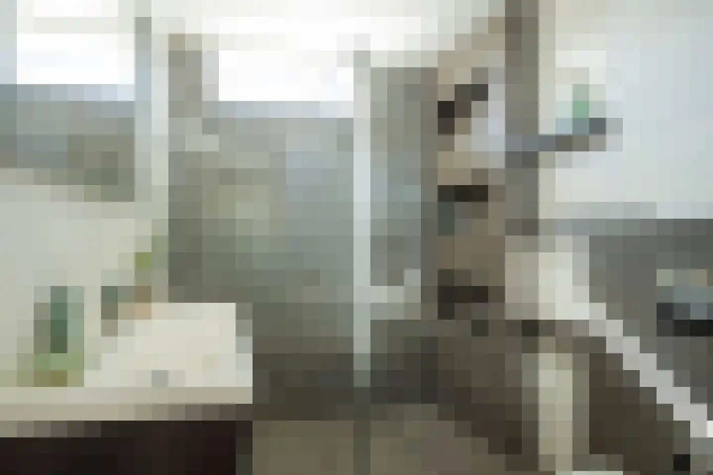 Willemsbos 162 Hoofddorp thumbnail 27