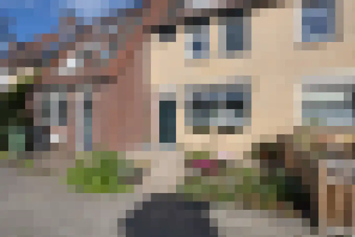 Willemsbos 162 Hoofddorp thumbnail 37