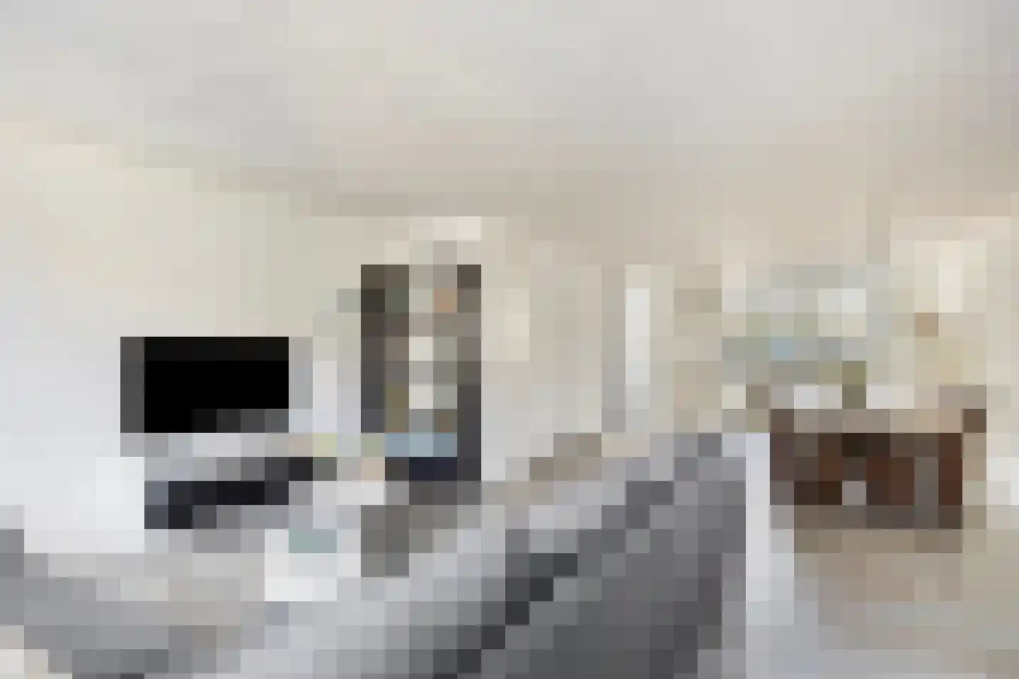 Willemsbos 220 Hoofddorp thumbnail 12