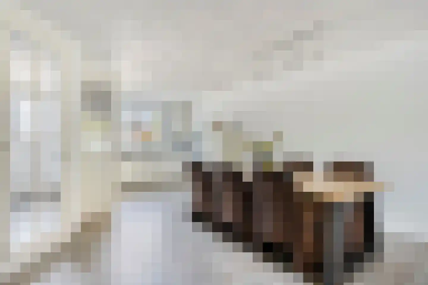 Willemsbos 220 Hoofddorp thumbnail 15
