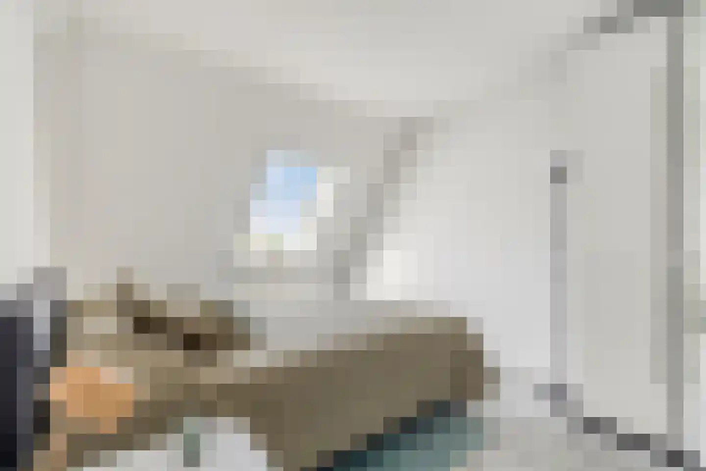 Willemsbos 220 Hoofddorp thumbnail 23