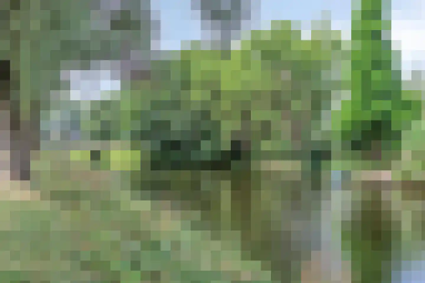 Willemsbos 220 Hoofddorp thumbnail 37