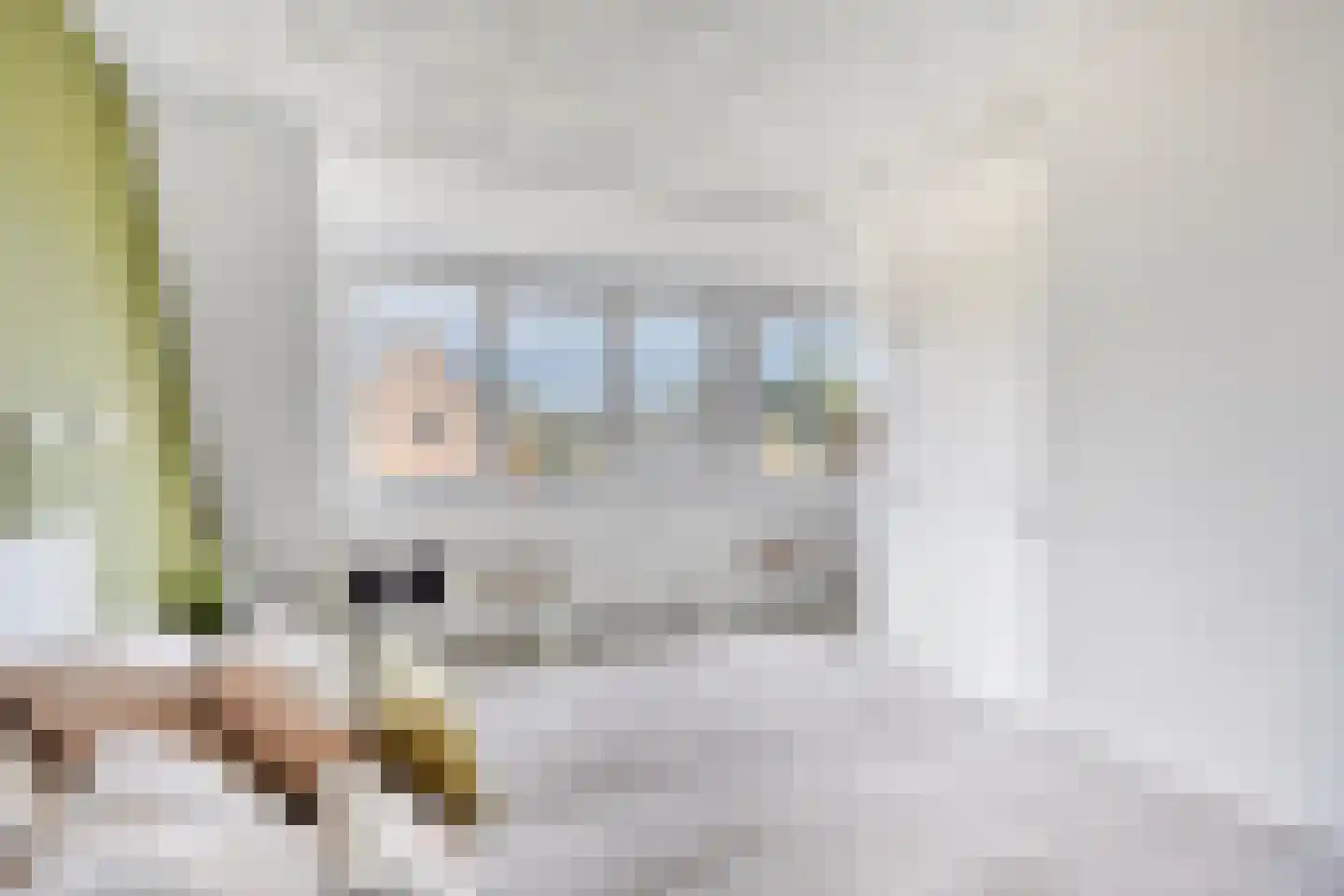 Willemsbos 220 Hoofddorp thumbnail 5