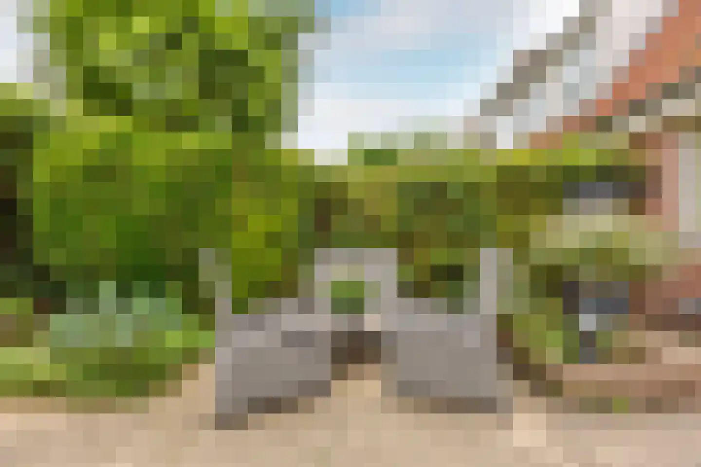 Willemsbos 39 Hoofddorp thumbnail 12