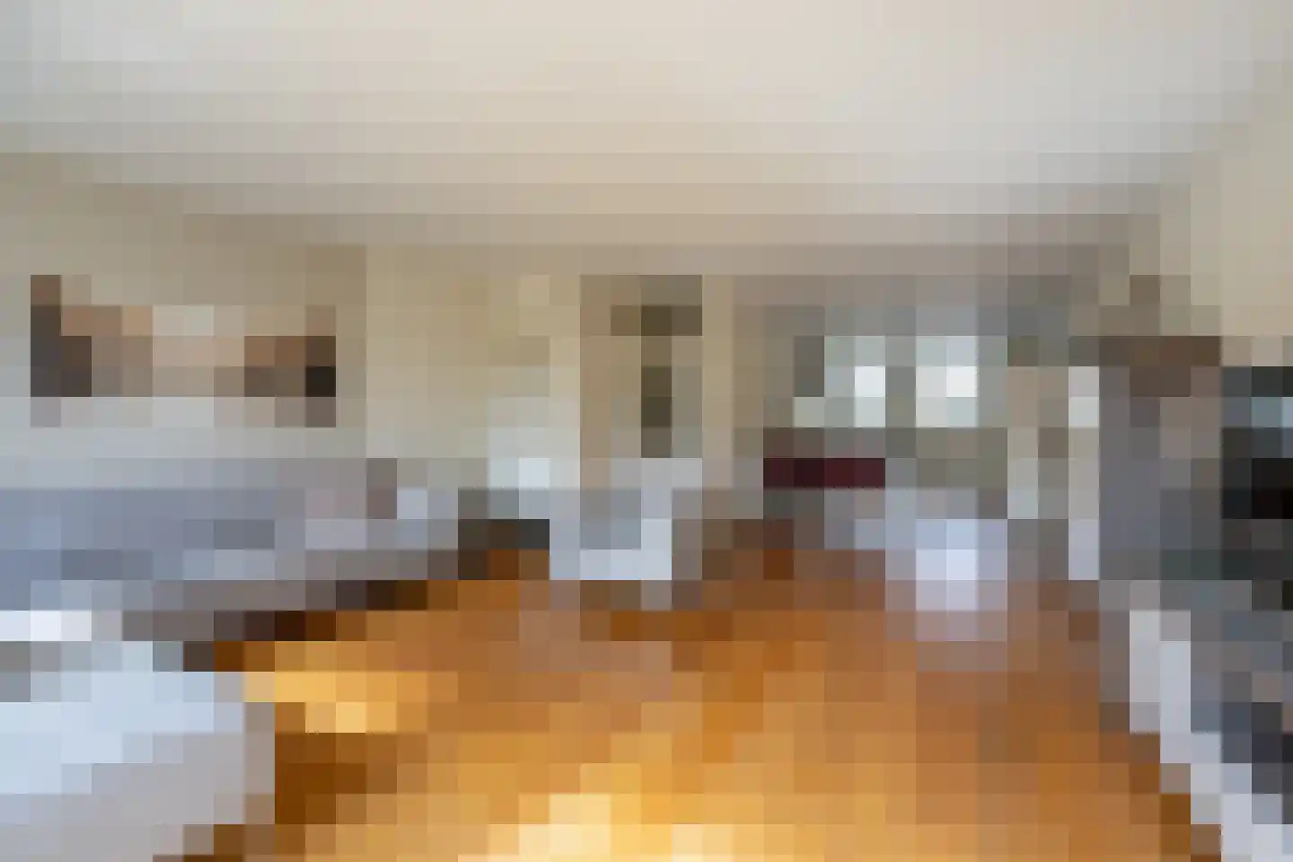 Willemsbos 39 Hoofddorp thumbnail 6