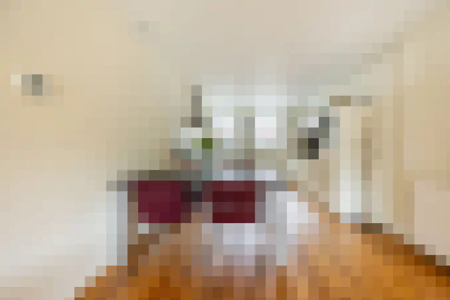 Willemsbos 39 Hoofddorp thumbnail 8