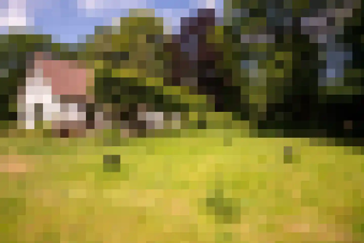 Willemsbos 4 Ugchelen thumbnail 10