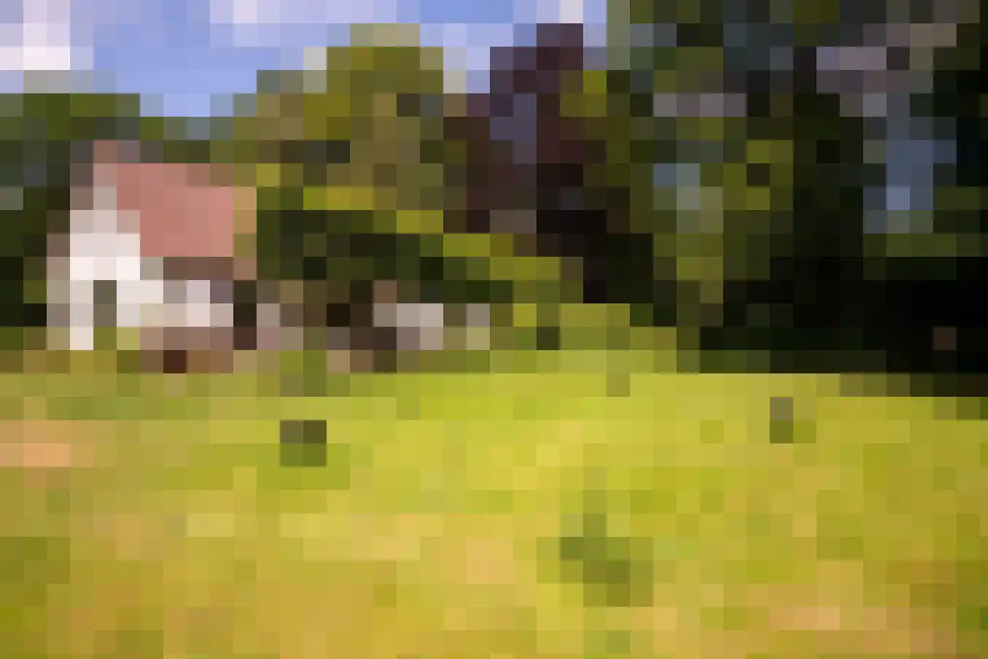 Willemsbos 4 Ugchelen thumbnail 10