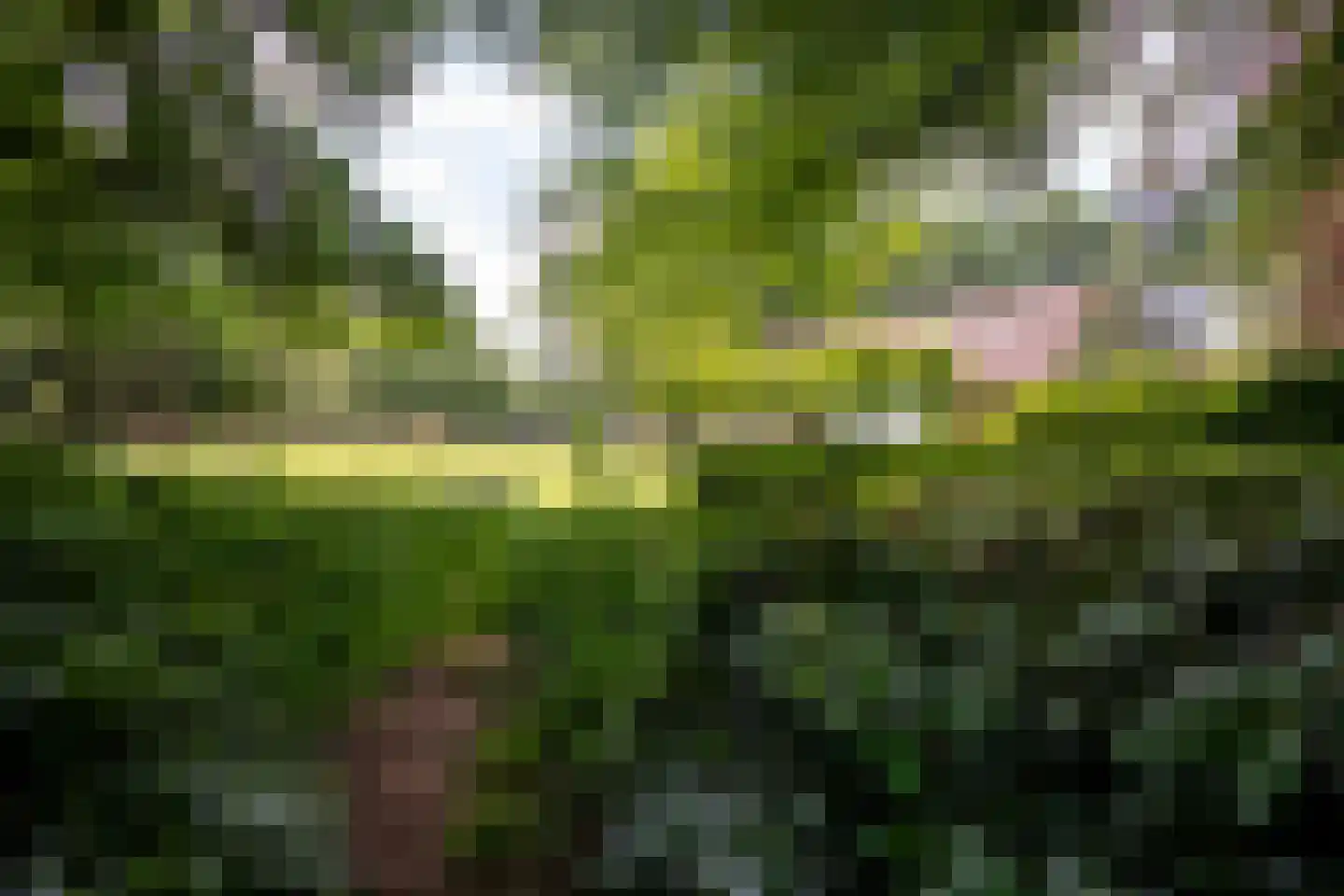 Willemsbos 4 Ugchelen thumbnail 12