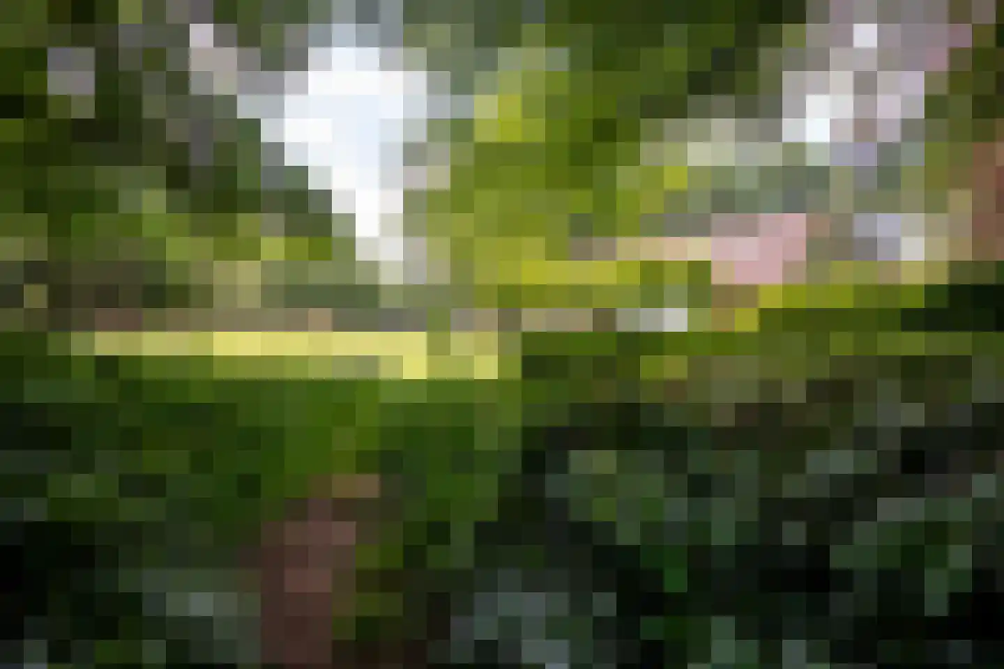 Willemsbos 4 Ugchelen thumbnail 12