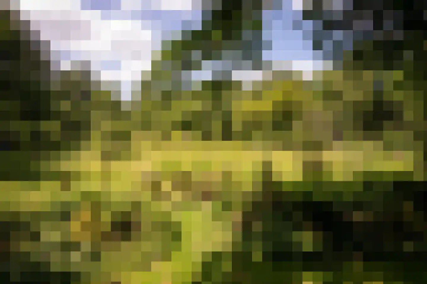 Willemsbos 4 Ugchelen thumbnail 19