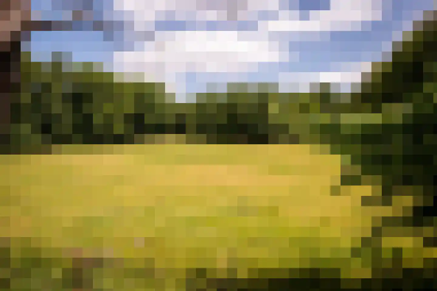 Willemsbos 4 Ugchelen thumbnail 20