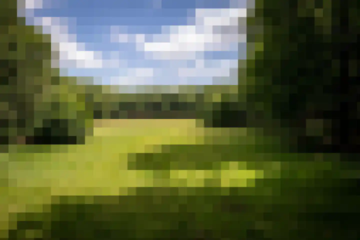 Willemsbos 4 Ugchelen thumbnail 21