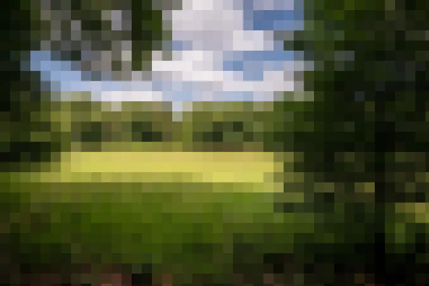 Willemsbos 4 Ugchelen thumbnail 22