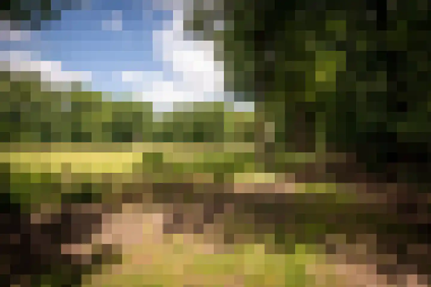 Willemsbos 4 Ugchelen thumbnail 24
