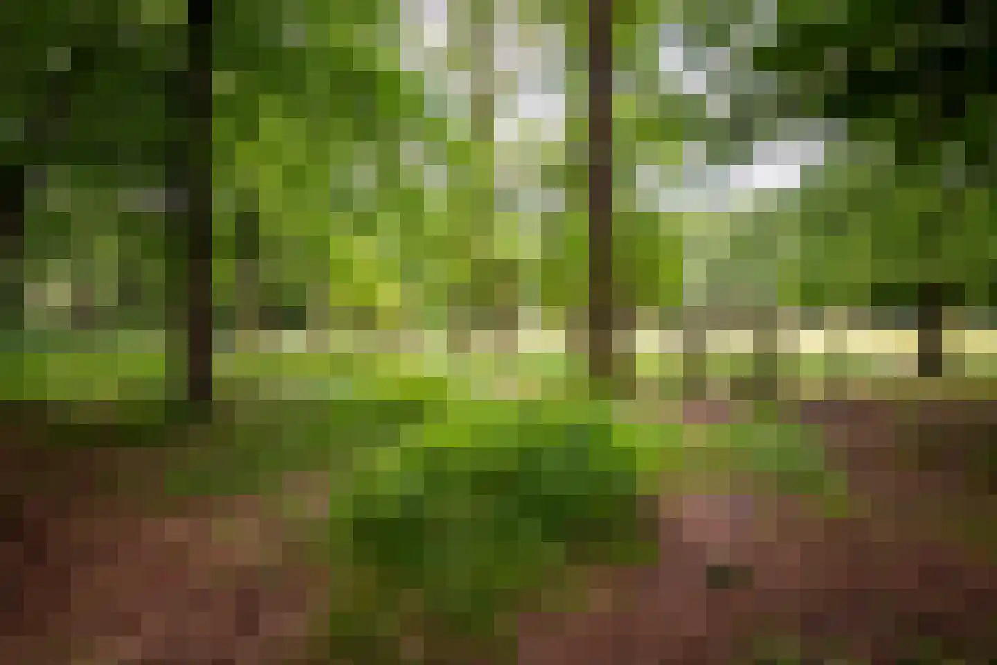 Willemsbos 4 Ugchelen thumbnail 25