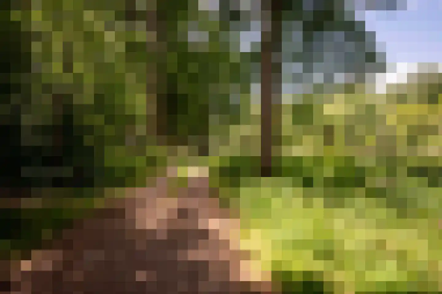 Willemsbos 4 Ugchelen thumbnail 26