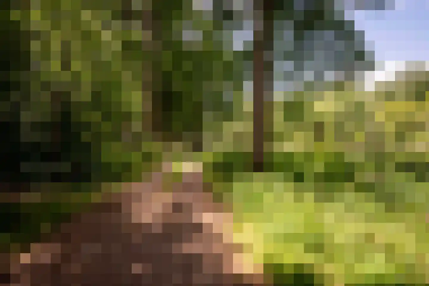 Willemsbos 4 Ugchelen thumbnail 26