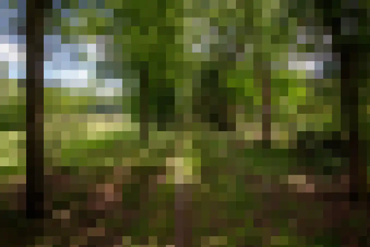 Willemsbos 4 Ugchelen thumbnail 27