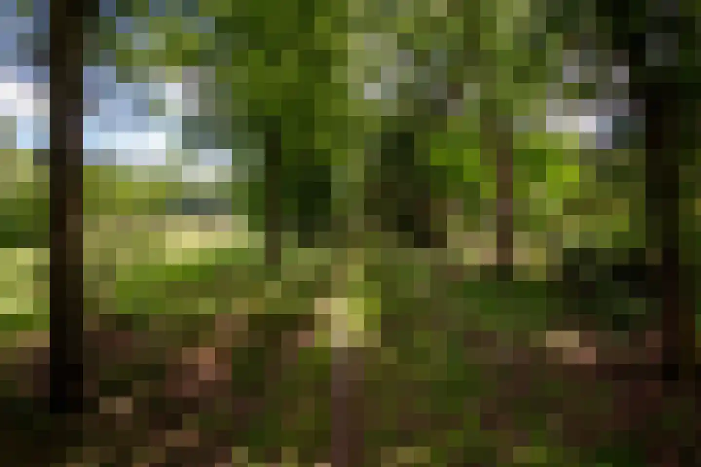 Willemsbos 4 Ugchelen thumbnail 27