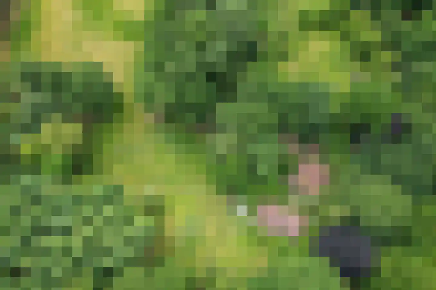 Willemsbos 4 Ugchelen thumbnail 31