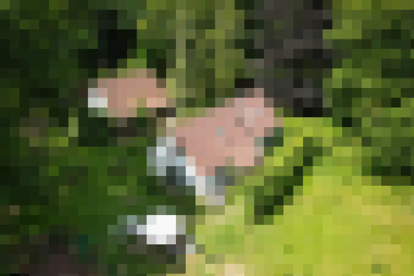 Willemsbos 4 Ugchelen thumbnail 7
