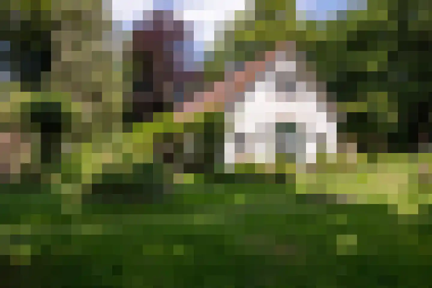 Willemsbos 4 Ugchelen thumbnail 8